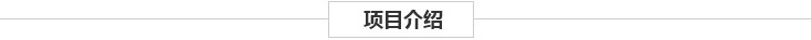 项目介绍 项目介绍